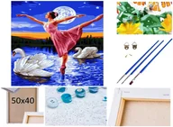 Malowanie po numerach - Malowanie po numerach Obraz Rama Płótno ZESTAW 5w1 baletnica JEZIORO ŁABĘDZIE BALET - miniaturka - grafika 1