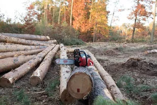 MARUYAMA MCV5100 3.8KM / 40cm - Piły spalinowe - miniaturka - grafika 2