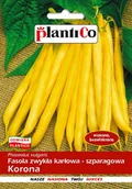 Nasiona i cebule - NASIONA Fasola Szparagowa Karłowa Korona 40g PLANTICO Żółta 407633 - miniaturka - grafika 1