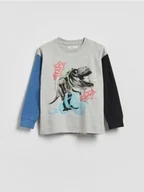 Bluzy dla chłopców - Reserved - Bawełniany longsleeve z nadrukiem - jasnoszary - miniaturka - grafika 1