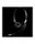 Jabra Biz2400 DUO 2GEN QD Noise Cancelling