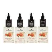 Serum do twarzy - Skoncentrowana pielęgnacja – 4 ampułki - miniaturka - grafika 1