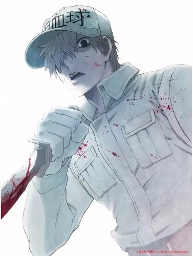 Plakat Anime Cells at Work hs_023 A2 (custom)