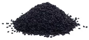 EQUIHERBS Olej z czarnuszki 1L - Akcesoria jeździeckie - miniaturka - grafika 1