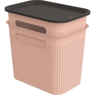 Jasnoróżowe plastikowe pojemniki z pokrywką zestaw 2 szt. 18,5x27x26 cm Brisen – Rotho - Pudła i pojemniki do przechowywania - miniaturka - grafika 1
