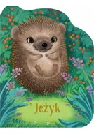 Pedagogika i dydaktyka - Jeżyk - miniaturka - grafika 1