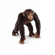 Figurki dla dzieci - Schleich, Figurka kolekcjonerska, Szympans samiec - miniaturka - grafika 1