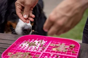 Mata Lickimat SLOMO XL różowa - Miski dla psów - miniaturka - grafika 3