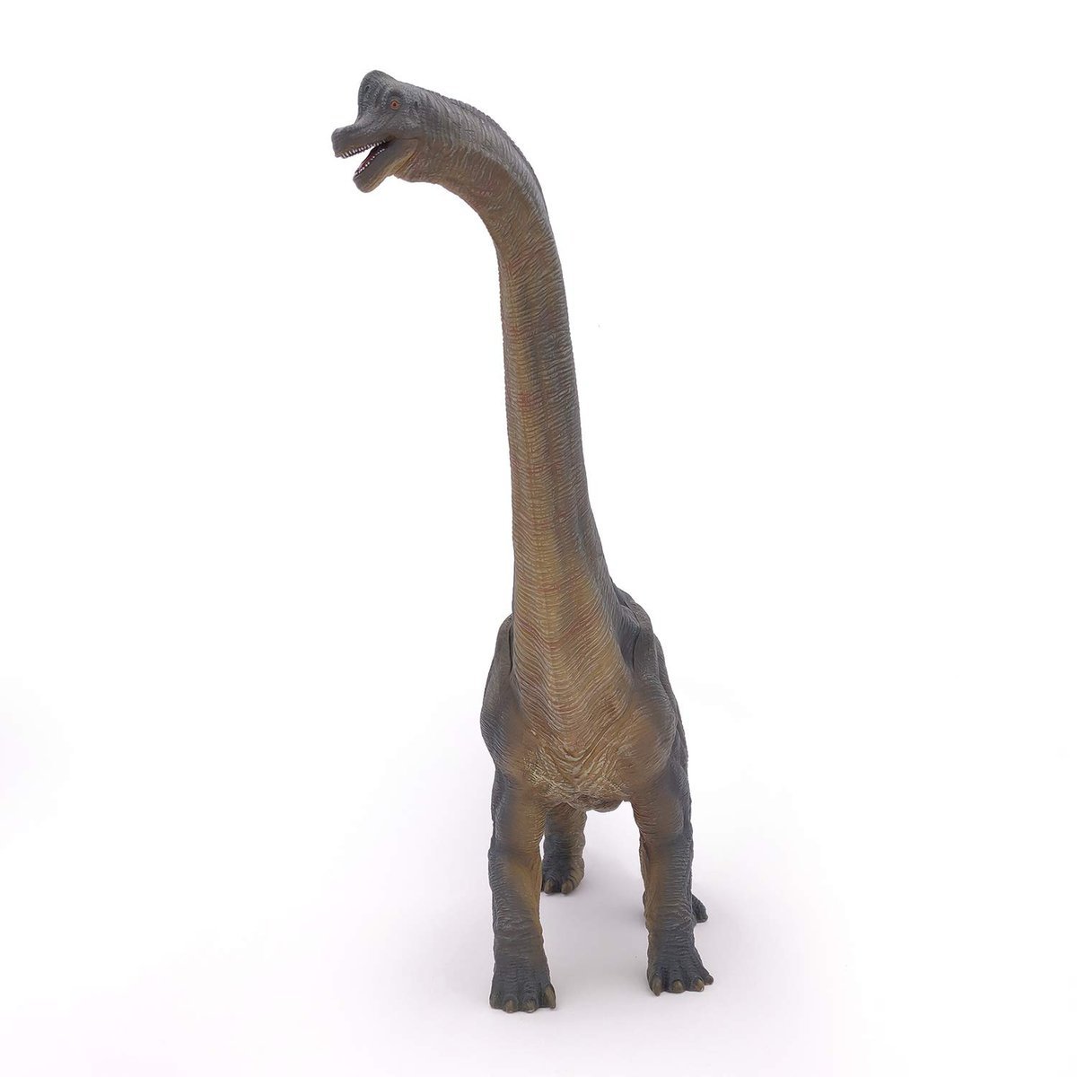 PAPO 55030 dinozaur, figurka brachiozaura, wielokolorowa