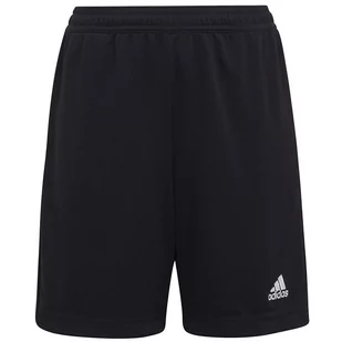 adidas, Spodenki, ENTRADA 22 Training Short Y H57498 - Spodnie sportowe męskie - miniaturka - grafika 1