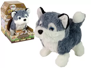 Interaktywna Maskotka Pies Husky Chodzi Porusza Ogonem Dźwięk Import LEANToys - Zabawki interaktywne dla dzieci - miniaturka - grafika 1
