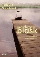 Książki o kulturze i sztuce - Za duży blask. O kinie współczesnym - miniaturka - grafika 1