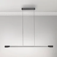 Lampy sufitowe - Paul Neuhaus Lampa wisząca LED Hoop, kolor aluminium, 128 cm, ściemniana - miniaturka - grafika 1