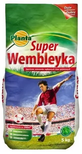 Planta Trawa boiskowa Super Wembleyka 5 kg - Trawy i trawniki - miniaturka - grafika 1