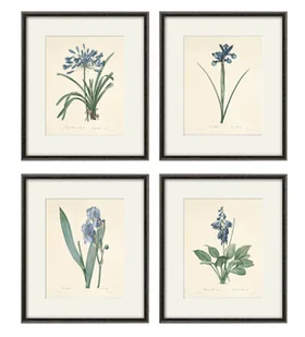 Rysunek kwiaty grafika motywy kwiatowe irys stara ilustracja - Obrazy i zdjęcia Rysunek kwiaty grafika motywy kwiatowe irys stara ilustracja - Obrazy i zdjęcia - miniaturka - grafika 1