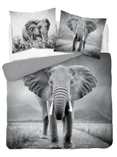 Pościel bawełniana 160x200 3813 A Słoń szara młodzieżowa Słonie elephant Holland Natura 2 - Pościel - miniaturka - grafika 1