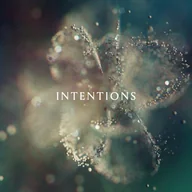 Winyle - Intentions - miniaturka - grafika 1