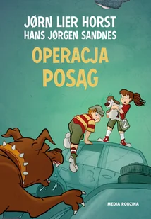 Operacja Posąg Biuro Detektywistyczne Nr 2 Jorn Lier Horst - Powieści i opowiadania - miniaturka - grafika 1