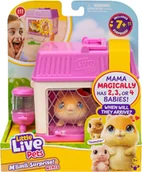 Figurki dla dzieci - MOOSE TOYS LITTLE LIVE PETS MAMA SURPRISE CHOMIKI - miniaturka - grafika 1
