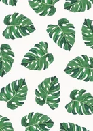 Plakaty - Plakat, Monstera liście II, 70x100 cm - miniaturka - grafika 1