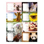 Szkolne artykuły papiernicze - Panta Plast Naklejki na zeszyt x 24 sztuki Girls Panta-Plast - miniaturka - grafika 1