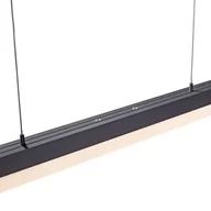 Lampy sufitowe - Paul Neuhaus Sina lampa wisząca LED CCT Touch - miniaturka - grafika 1