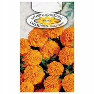 Nasiona i cebule - AKSAMITKA CHAMPION pomarańczowa NASIONA KWIATÓW p. 2H6, PL030/12/210/2849A; 4H5; - miniaturka - grafika 1