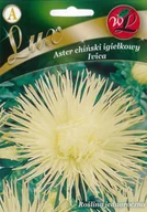 Nasiona i cebule - Legutko sp. z o.o Nasiona Aster chiński igiełkowy biały, 1g - miniaturka - grafika 1