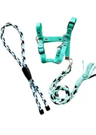 Maskotki i pluszaki - Miętowy zestaw dla hobby horse - miniaturka - grafika 1