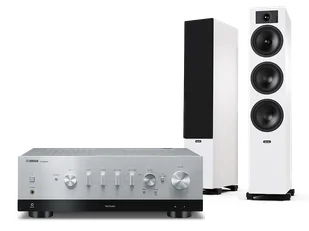 Yamaha R-N1000A (srebrny) + Tesi 6 (biały) - Zestawy stereo - miniaturka - grafika 1