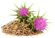 Akcesoria jeździeckie - EQUIHERBS Ostropest plamisty 1 kg - miniaturka - grafika 1