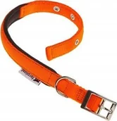 Obroże dla psów - Ferplast FERPLAST DAYTONA OBROŻA 20/43 POMARAŃCZOWA - miniaturka - grafika 1