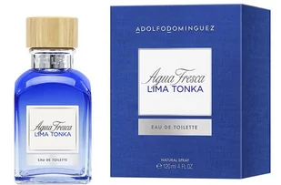 Woda toaletowa dla mężczyzn Adolfo Dominguez A Dominguez Agua Fresca tonka Etv 120 ml (8410190631137) - Wody i perfumy męskie - miniaturka - grafika 1