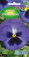 Nasiona i cebule - Bratek szwajcarski fioletowo-niebieski 0.5 g POLAN - miniaturka - grafika 1