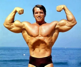 PODKŁADKA POD MYSZ Nadruk 22x18 cm Arnold Schwarzenegger 3 Tekst Prezent - Podkładki pod mysz - miniaturka - grafika 1