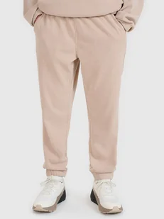 4F Spodnie dresowe joggery męskie 4FRSS25TTROM1476-83S Brązowy Roz. L - Spodnie męskie - miniaturka - grafika 1