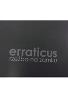 Książki o kulturze i sztuce - Erraticus rzeźba na zamku - miniaturka - grafika 1