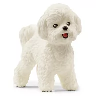 Figurki dla dzieci - Schleich Farm World - Pies rasy bichon frise, figurka dla dzieci 3+ - miniaturka - grafika 1