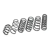 Sprężyny zawieszenia - BILSTEIN SPRĘŻYNA ZAWIESZENIA MB W140 BI 36-224043 - miniaturka - grafika 1