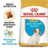 Sucha karma dla psów - Royal Canin Jack Russel Junior 1,5 kg - miniaturka - grafika 1