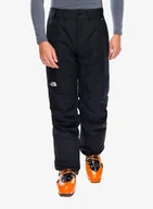 Spodnie narciarskie - Spodnie narciarskie The North Face Freedom Pant - tnf black - miniaturka - grafika 1