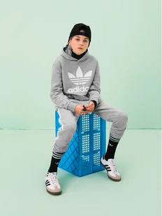adidas Spodnie dresowe Trefoil 3-Stripes GD2705 Szary Regular Fit - Moda i Uroda OUTLET - miniaturka - grafika 1
