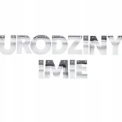 Dekoracje sali - BANER PERSONALIZOWANY GIRLANDA NAPIS NA URODZINY + DOWOLNE IMIĘ SREBRNY - miniaturka - grafika 1