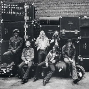 At Fillmore East (The Allman Brothers Band) (Vinyl / 12" Album) - Winyle - miniaturka - grafika 2