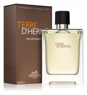 Hermes Terre DHermes Woda toaletowa 100ml - Wody i perfumy męskie - miniaturka - grafika 2