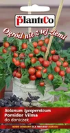 Nasiona i cebule - NASIONA Pomidor Koktajlowy Vilma 0,2g PLANTICO Doniczkowy Balkonowy 405745 - miniaturka - grafika 1
