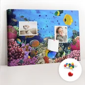 Tablice i flipcharty - Szkolna Tablica korkowa 60x40 cm, Kolorowe Pinezki, wzór Podwodne życie - miniaturka - grafika 1