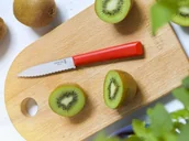 Noże kuchenne - Opinel, Nóż kuchenny ze stali, Czerwony, 10x9,8x19,8 cm - miniaturka - grafika 1