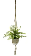 Sztuczne kwiaty - Sztuczna paproć w wiszącej doniczce, sztuczna roślina, roślina, roślina, roślina, zielona, wisząca, wisząca, kwietnik - miniaturka - grafika 1