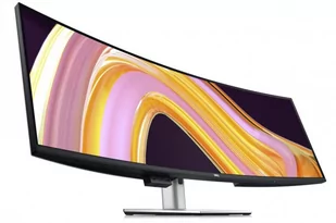 DELL UltraSharp U4924DW - Monitory - miniaturka - grafika 3